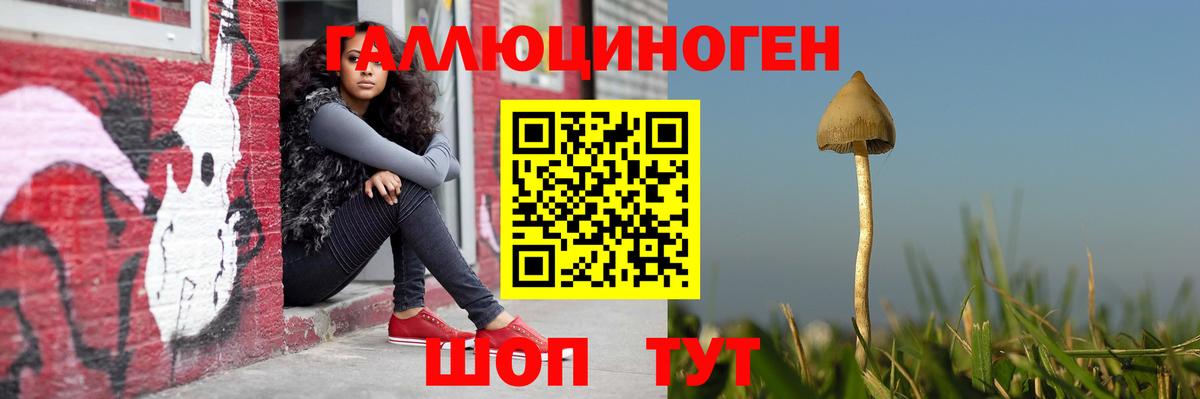 Псилоцибиновые грибы GOLDEN TEACHER  Галлюциногенные грибы мухоморы  Усинск  Вход с VPN 